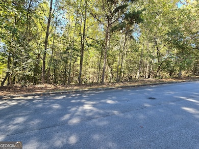 4215 Sandstone Shores Dr, Lithonia, GA 30038 - photo 4