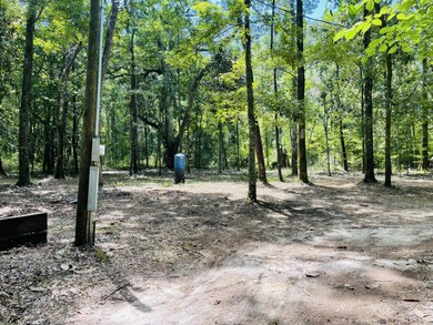 1169 Old Bumpy Rd, Capitola, FL 32317 - photo 4