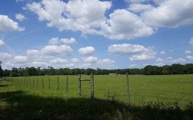 TBD Paul Pearce Ln, Lake City, FL 32024 - photo 2