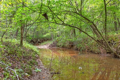 3.06 Acres S Carolina 11, Fair Play, SC 29643 - photo 2