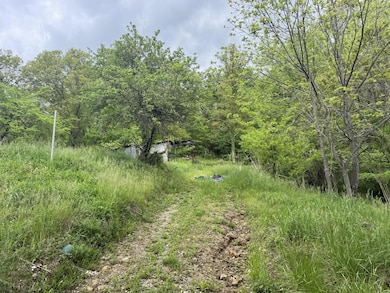 4820 Broad Run Rd, Letart, WV 25253 - photo 7