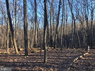 LOT 26D Cove Run Acres Dr, Mathias, WV 26812 - photo 5