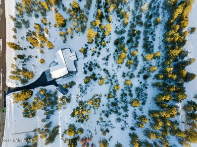 Birds Eye View