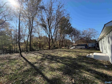 1620 Maple St, Leighton, AL 35646 - photo 4