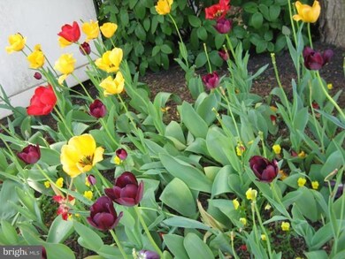 9401 Wordsworth Way unit 303, Owings Mills, MD 21117 - photo 3