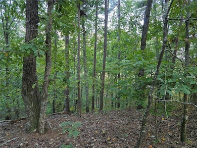 0 Old Goodie Mountain Rd, Cartersville, GA 30120 - photo 3