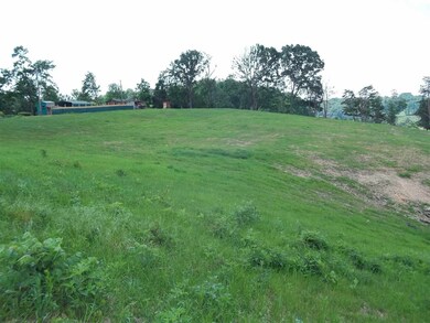 0 Morgan Rd, Rutledge, TN 37861 - photo 3