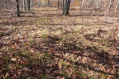 N13315 Harper Rd, Athelstane, WI 54104 - photo 6