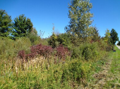 0 135th Ave, Hopkins Township, MI - photo 5
