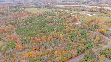 18 acres County Road 359, Pisgah, AL 35765 - photo 6