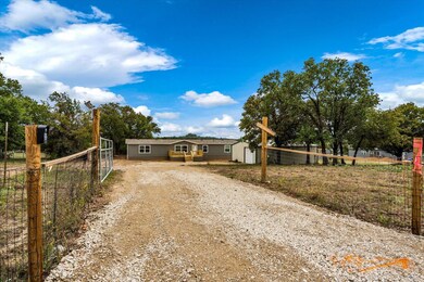 460 Big Salty Dr, Springtown, TX 76082 - photo 5