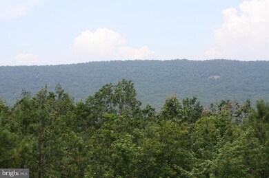 827 Cardinal View Rd, Bloomery, WV 26817 - photo 4