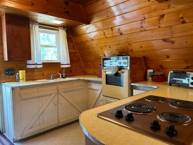 3423 S James Rd, Baldwin, MI 49304 - photo 4