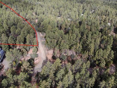 3586 N Pine View Dr, Pine, AZ 85544 - photo 3