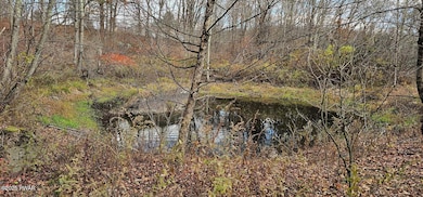 101 Delaware Dr, Damascus Township, PA 18415 - photo 2