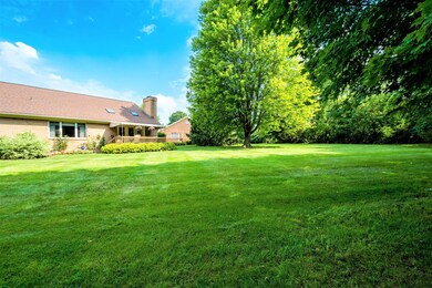 back yard 2