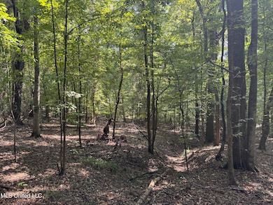 0001 Old Dover Rd, Yazoo City, MS 39194 - photo 4