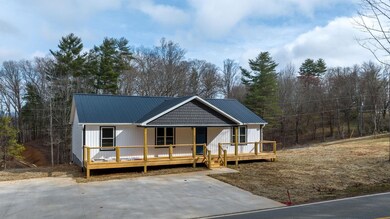 1193 Bear Creek Rd, Leicester, NC 28748 - photo 3