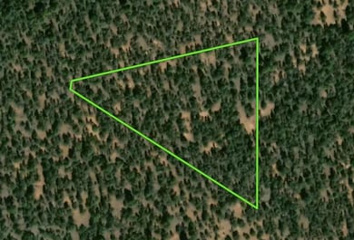 Tbd Cerro Leonides Rd, Ramah, NM 87321 - photo 6