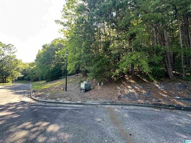 0 Bellerive Cir unit 21390746, Oneonta, AL 35121 - photo 4