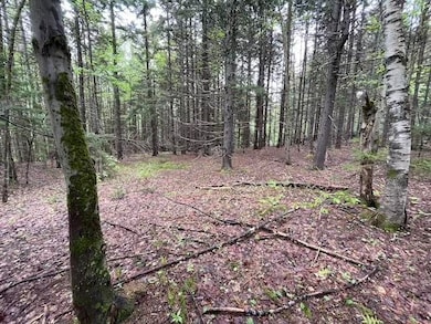 0 Honeycomb Hill, Marlboro, VT 05301 - photo 7