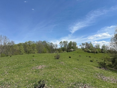 8829 Clay Rd, Left Hand, WV 25251 - photo 7