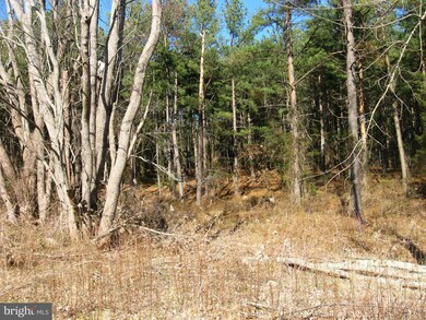 0 Orkney Grade Rd unit VASH118720, Mount Jackson, VA 22842 - photo 3