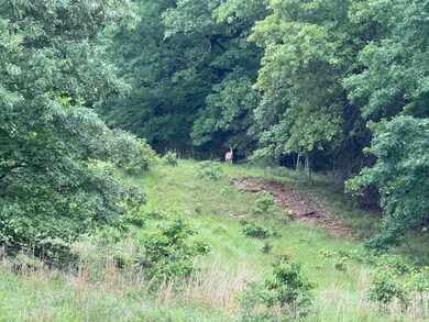 0 Honeytree Ln, Camp, AR 72520 - photo 6