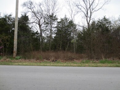 0 Skyline Dr unit 60072930, Kimberling City, MO 65686 - photo 2