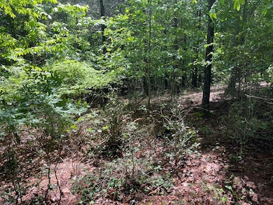 0 River Mountain Rd unit 152941, Murphy, NC 28906 - photo 7