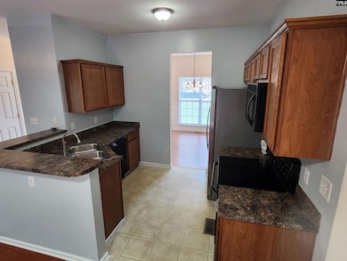 142 Heises Pond Way, Columbia, SC 29229 - photo 6