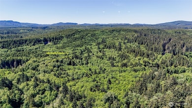 99994 Dowan Creek Rd, Forks, WA 98331 - photo 2