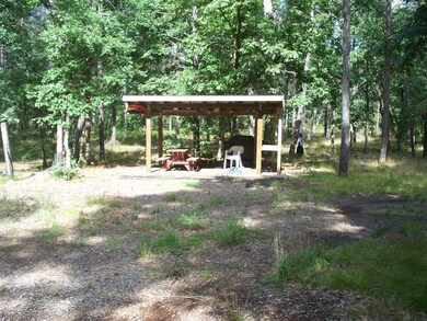 3429 W 16th St, Baldwin, MI 49304 - photo 4