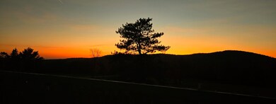 Lot A Dow Farm Rd, Island Falls, ME 04747 - photo 7