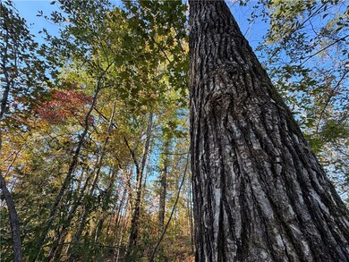 unlisted-address, Camp Hill, AL 36850 - photo 3