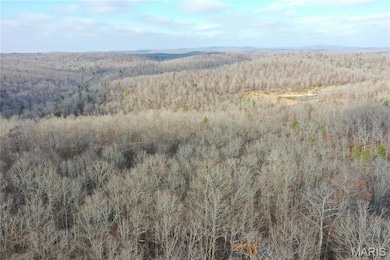 TBD County Road 118, Annapolis, MO 63620 - photo 7