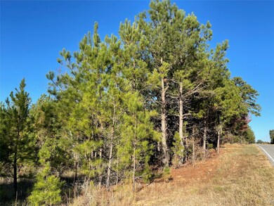 TBD Louisiana 155, Coushatta, LA 71019 - photo 4