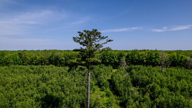 DJI_0048
