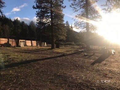 Driveway area