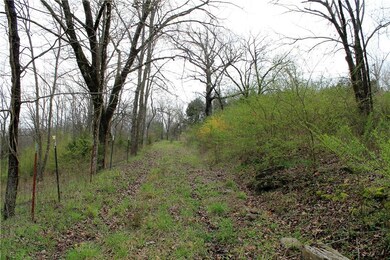 18740 S Highway 71, Winslow, AR 72959 - photo 3