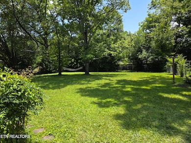 Back yard