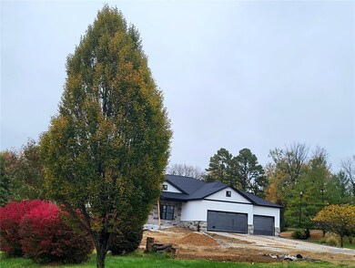 6105 Illinois 162, Maryville, IL 62062 - photo 4