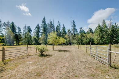 16903 Hickory Ln SE, Yelm, WA 98597 - photo 6