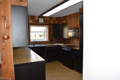 Sharp kitchen with greenhouse window and black app