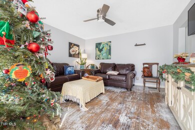 721 E Maple St, Johnson City, TN 37601 - photo 6