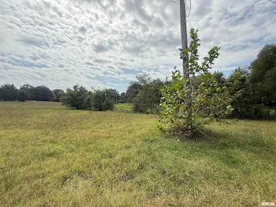 00 Wood Rd, Murphysboro, IL 62966 - photo 4