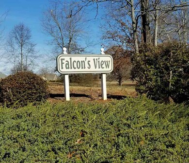 102 Falcons View Ct, Walhalla, SC 29691 - photo 4