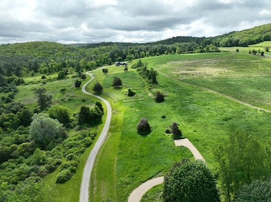 14 Red Mountain Rd unit 20, Lakeville, CT 06039 - photo 2