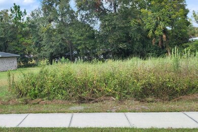 0 NW Bascom Norris Dr unit MFRGC518103, Lake City, FL 32055 - photo 2