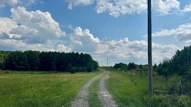 000 Easement unit Goff Rd, Quitman, AR 72131 - photo 6